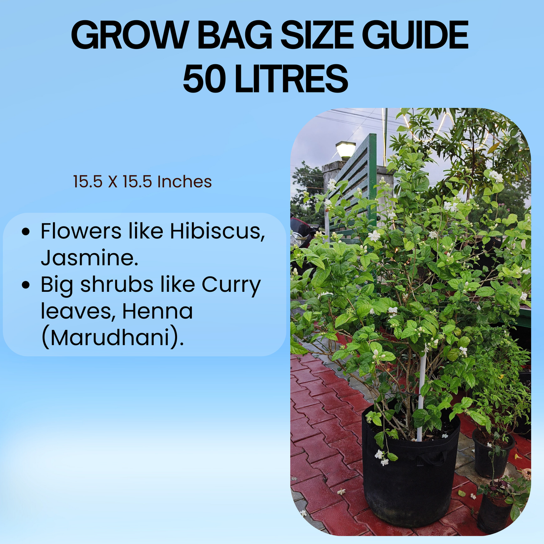15.5x15.5 Inch | 50 Litres Geo Fabric Grow Bag