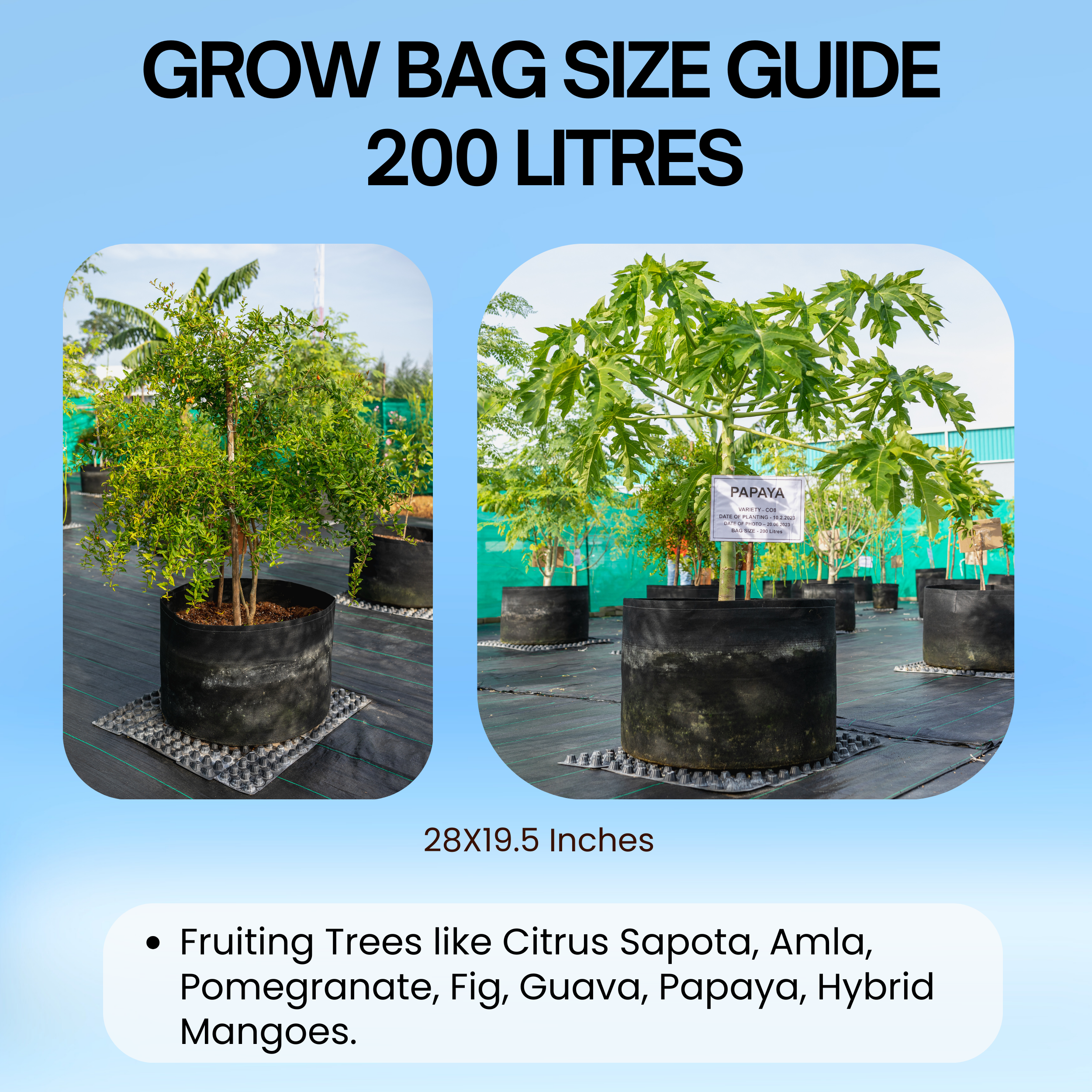 28x19.5 Inch | 200 Litres Geo Fabric Grow Bag