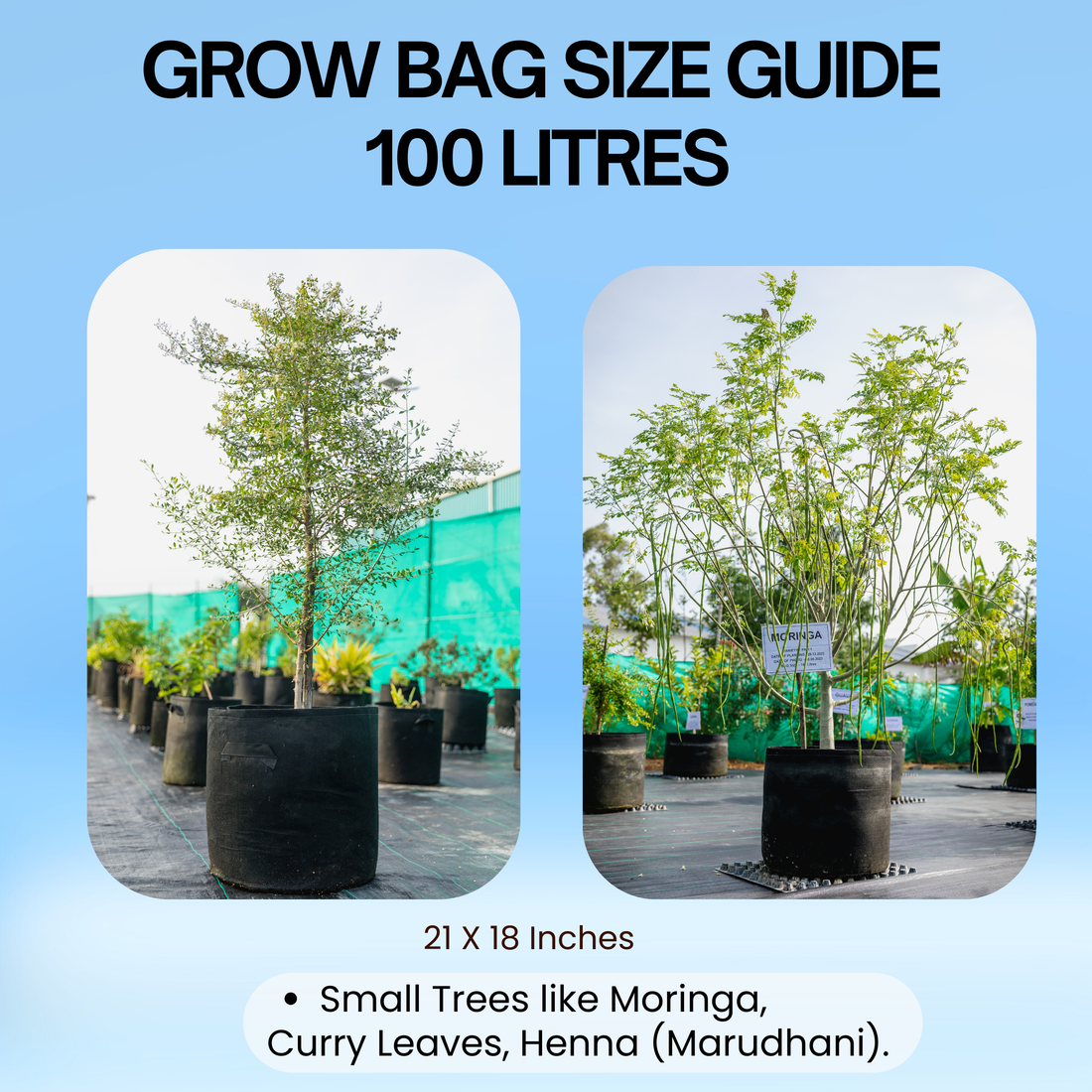 21x18 Inch | 100 Litres Geo Fabric Grow Bag