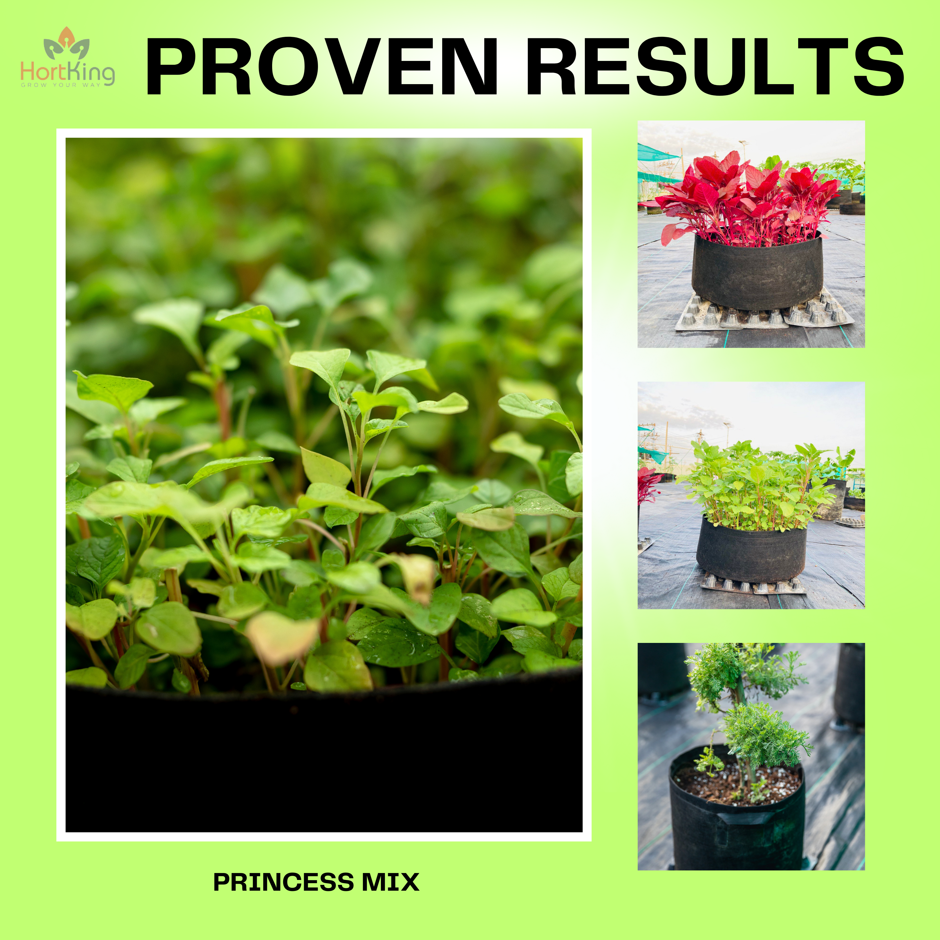 Princess Mix for Leafy Greens & Herbs | HortKing Organic Living Soil