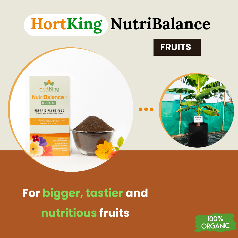 HortKing NutriBalanceĀ® for Home Gardeners