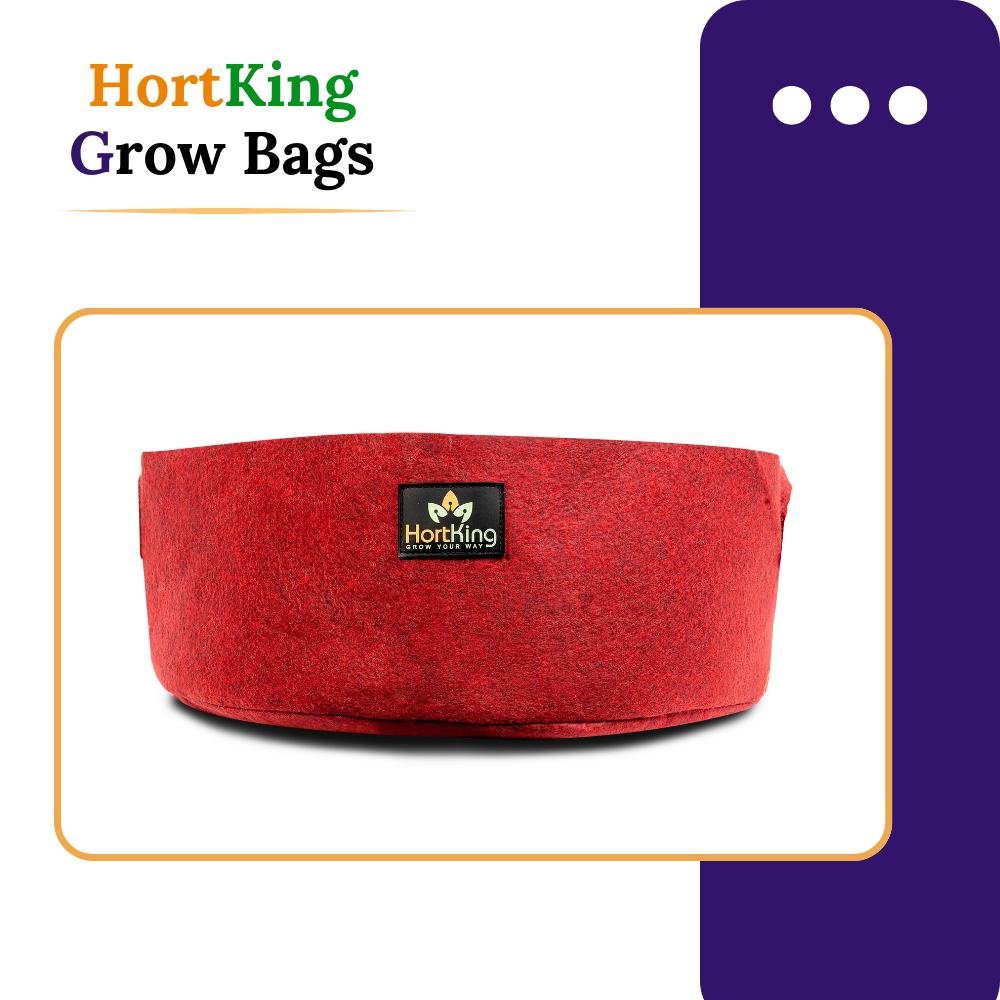 HortKing Fabric Grow Bags for Home Gardeners