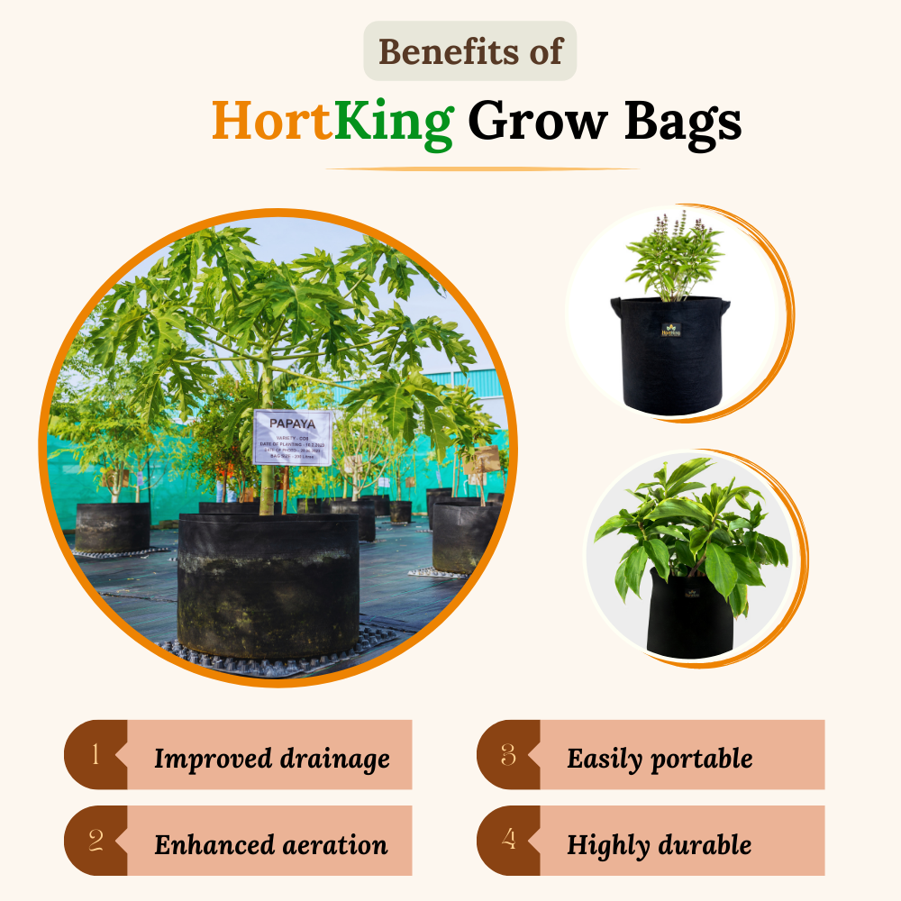 HortKing Fabric Grow Bags for Home Gardeners