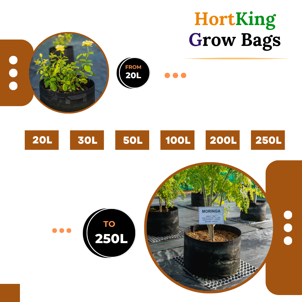 HortKing Fabric Grow Bags for Home Gardeners