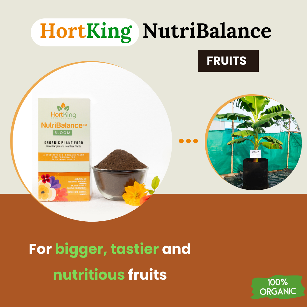 HortKing NutriBalance® for Home Gardeners