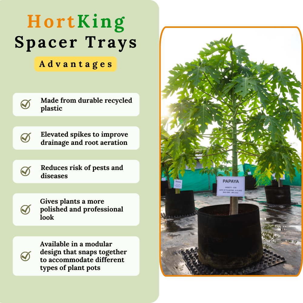 HortKing Spacer Trays for Home Gardeners