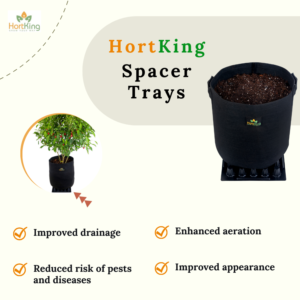 HortKing Spacer Trays for Home Gardeners