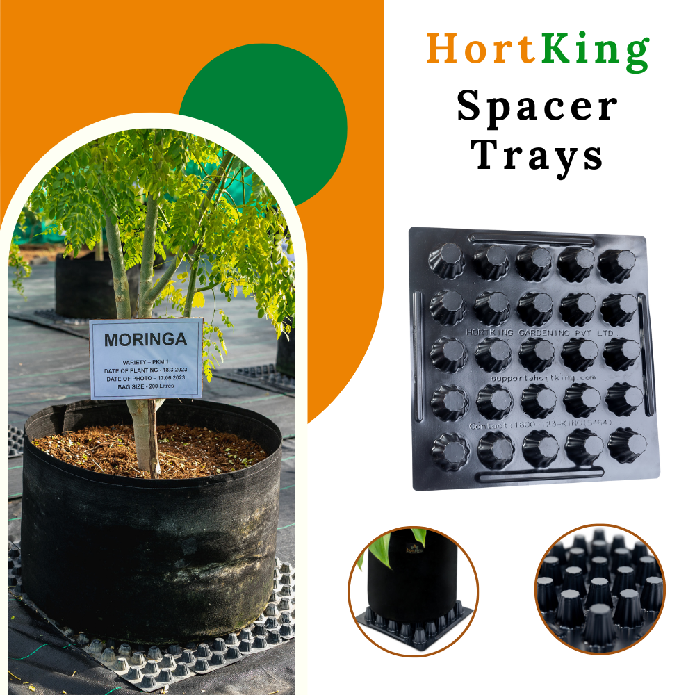 HortKing Spacer Trays for Home Gardeners