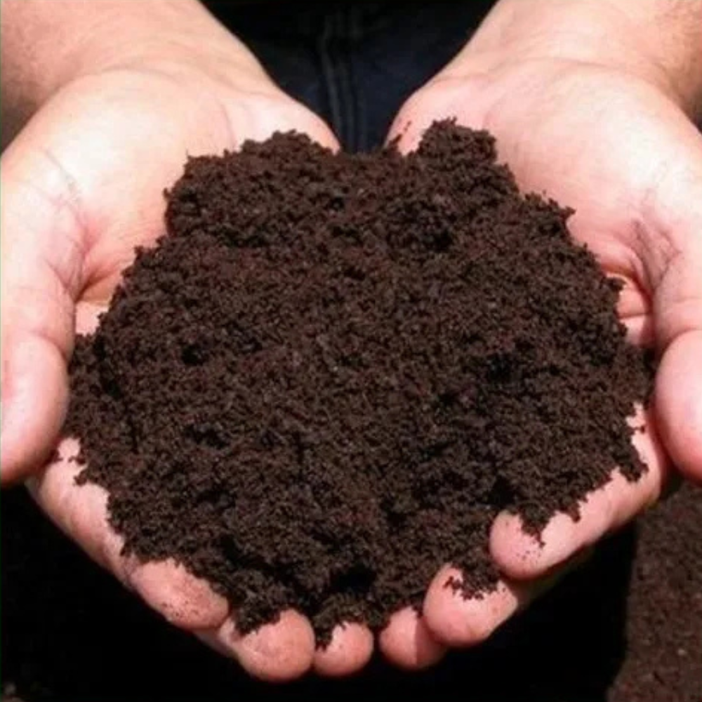 HortKing Vermicompost