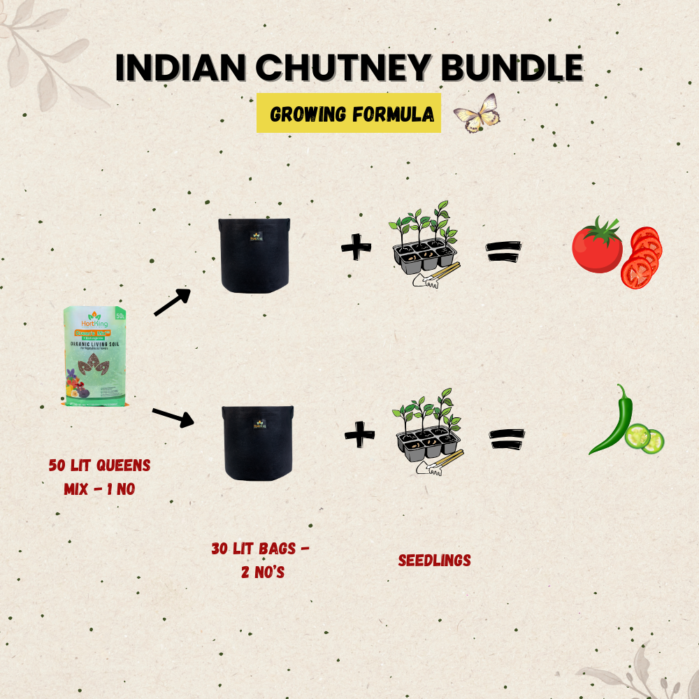 Indian Chutney Bundle