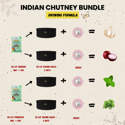 Indian Chutney Bundle