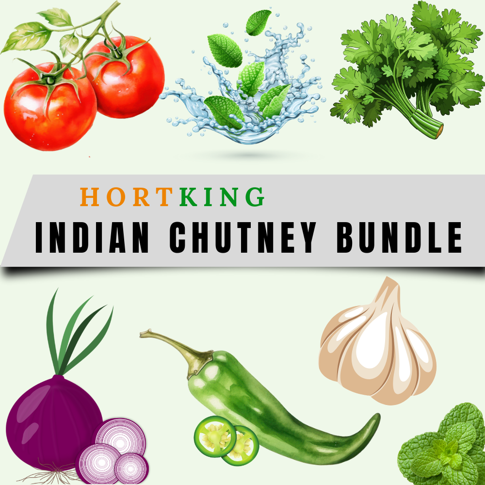 Indian Chutney Bundle