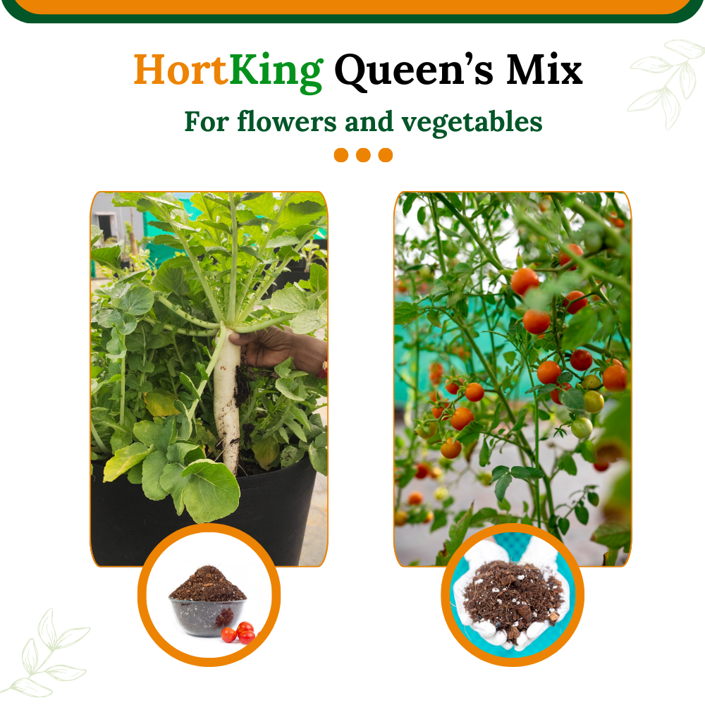 HortKing Organic Living Soil