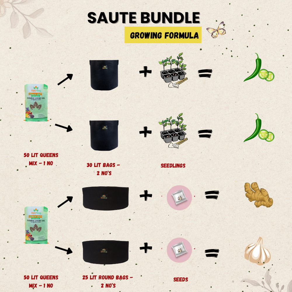 Saute Bundle