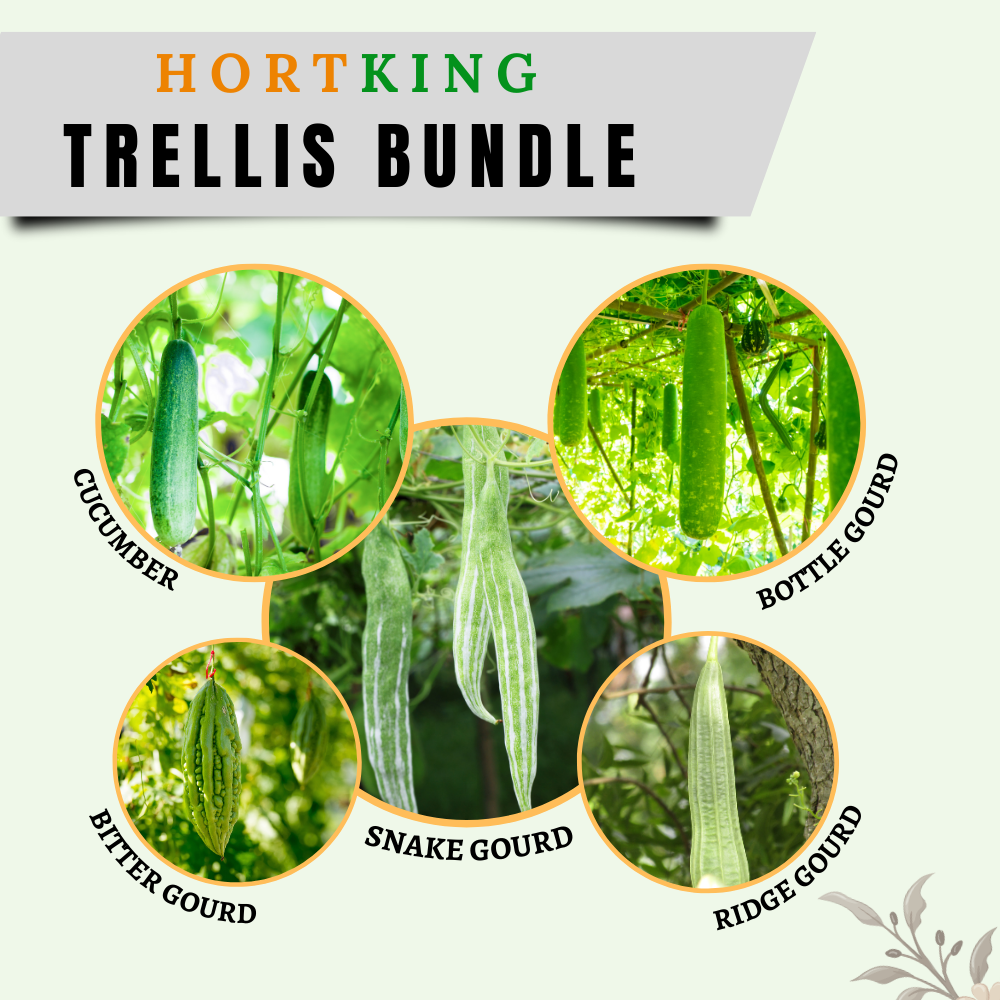 Trellis Bundle