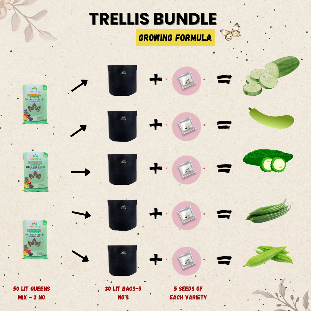 Trellis Bundle