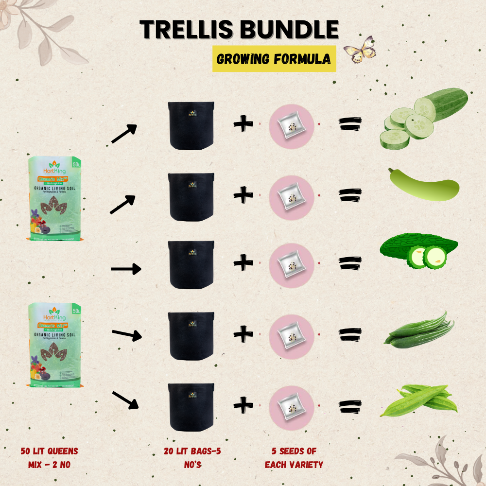 Trellis Bundle