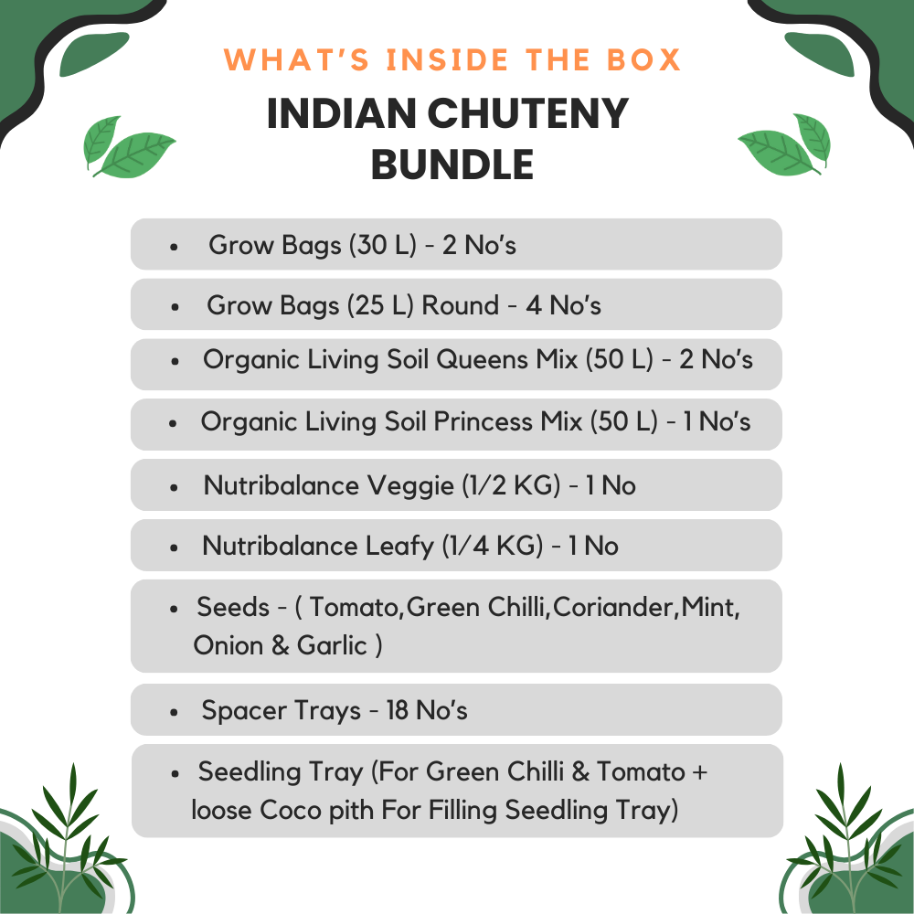 Indian Chutney Bundle