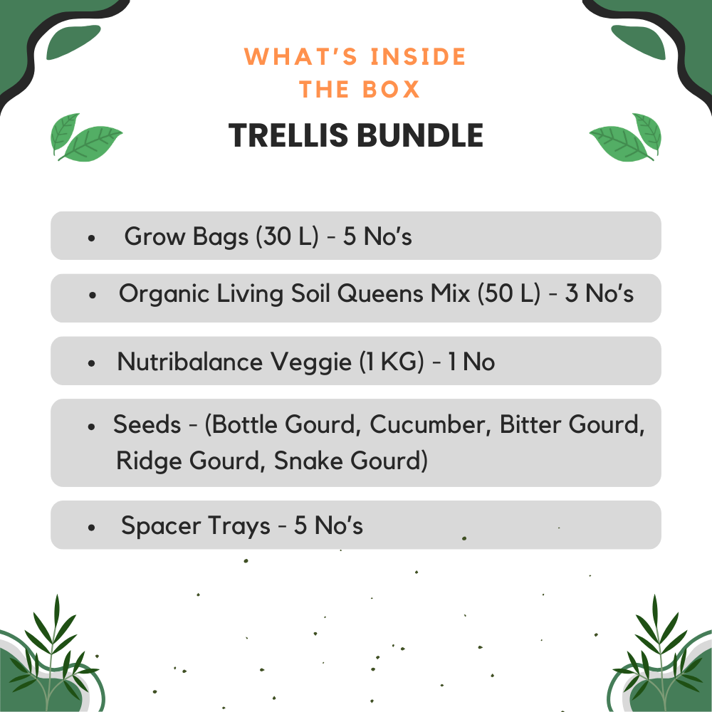 Trellis Bundle