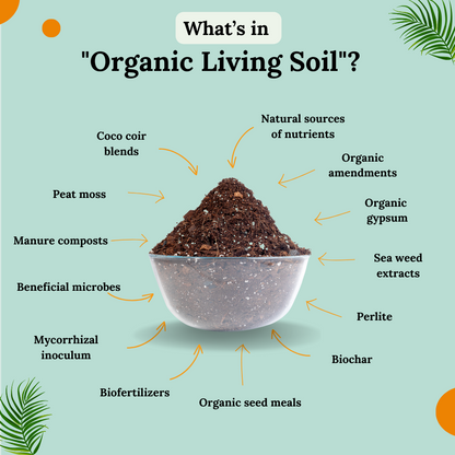 HortKing Organic Living Soil